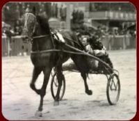 1936 XIPHIAS Matadoren-Rennen