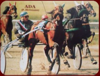 1978 ADA Arthur-Knauer-Rennen