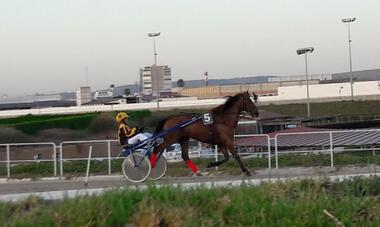 2. Lauf Heat 2. Lauf Heat