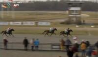 2. Platz Miles