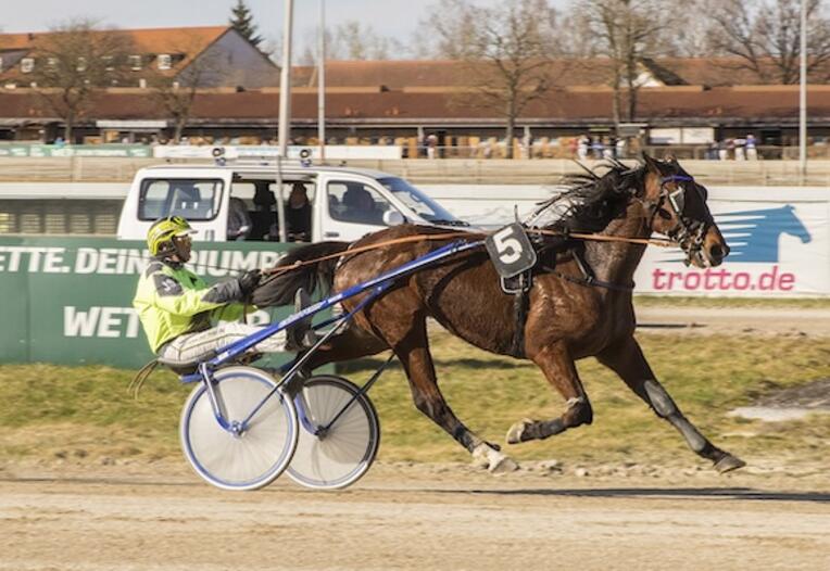 202403040821workaholic_diamant_z240303f_kopie