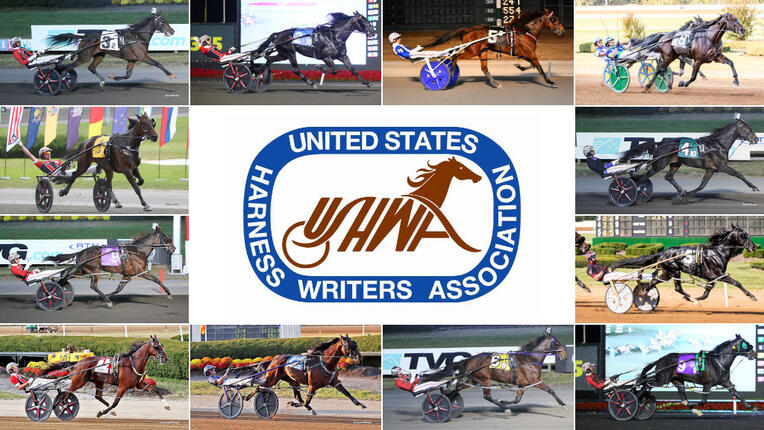 2024DanPatchAwardWinningHorses-1024
