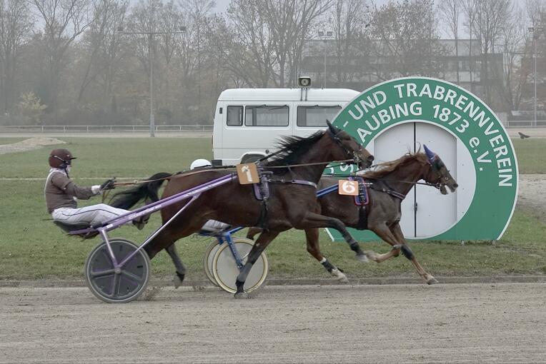 2025-11-09_nachschau_Bild1