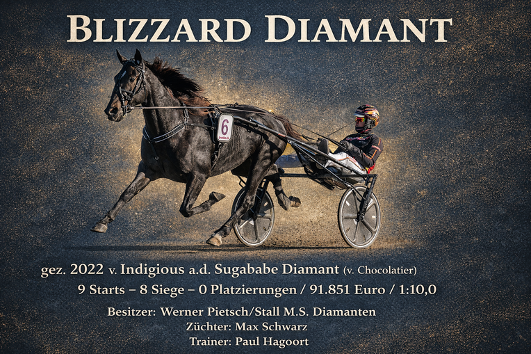 2025 Blizzard Diamant