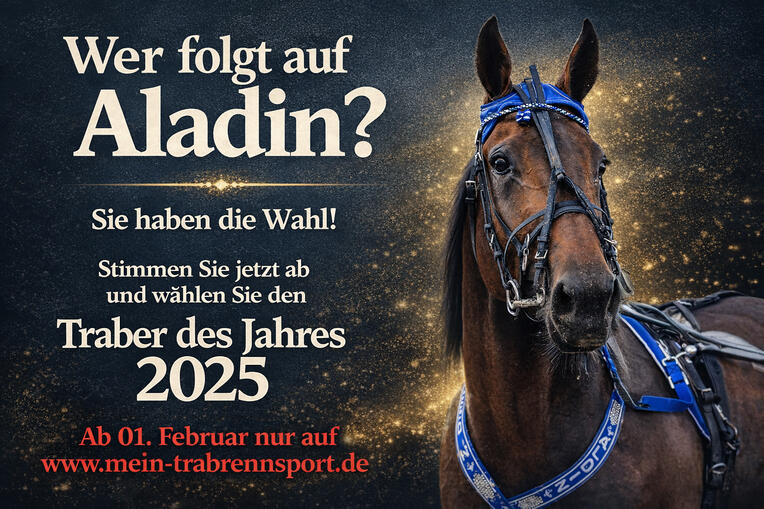 2025 Wer folgt auf Aladin_