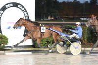 239MK230918Mariendorf City Guide 239MK230918Mariendorf City Guide