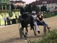 41626272_260832747764006_5662165805631012864_n 41626272_260832747764006_5662165805631012864_n