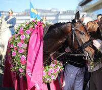 42907326_2366157540124777_4255381321167142912_n 42907326_2366157540124777_4255381321167142912_n