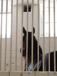 42992004_10156519822073257_3043986740223148032_n 42992004_10156519822073257_3043986740223148032_n