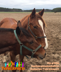 50663786_793193357725117_1776481688616960000_n 50663786_793193357725117_1776481688616960000_n