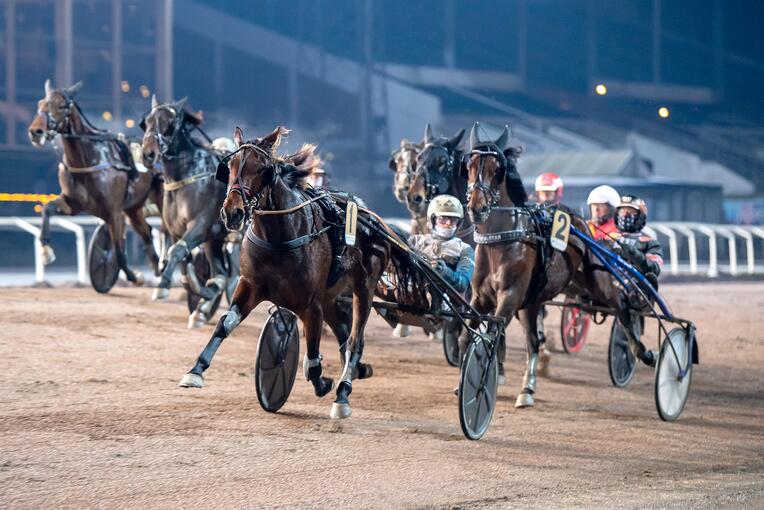 585884337_1455923869870607_1367695625958958886_n