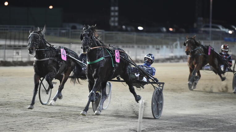 608192336_1408532134616181_2617918611668730875_n