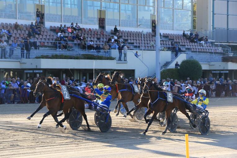 6_arrivo_filly