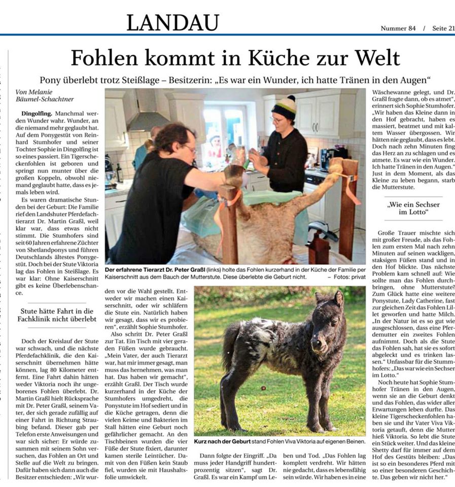 92413232_10221161290849110_2561061785692012544_o 92413232_10221161290849110_2561061785692012544_o