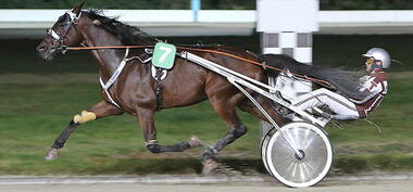 Abano H siegt im Lauf 1 zur Winter-Champions-Serie