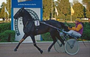 Adam's Peak mit Peter Hoever im Sulky