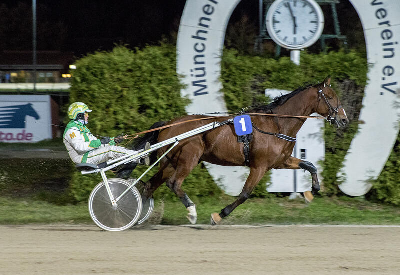 Ahoi Diamant_Z261025F