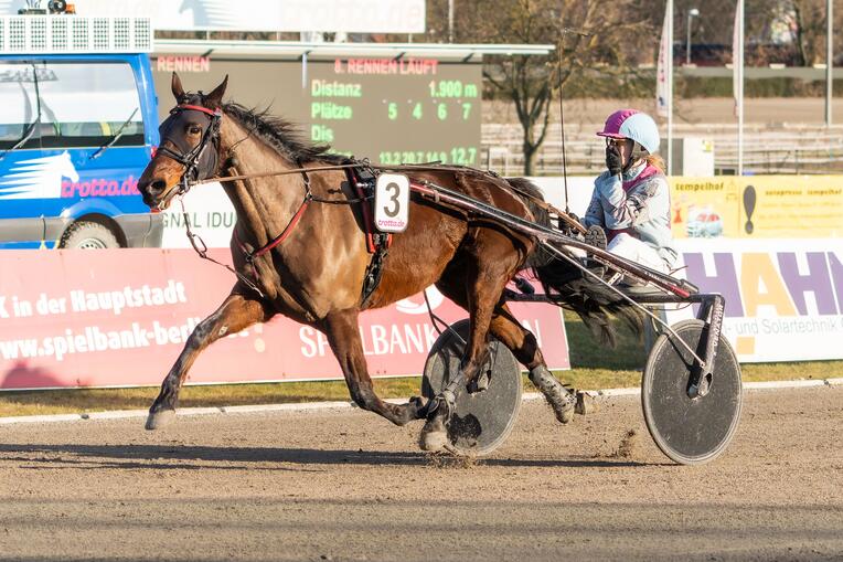 Allypally _ Farnzi Höltje