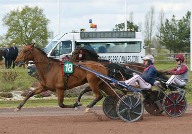 aubrion_angers