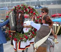 Avalon Mists Avalon Mists