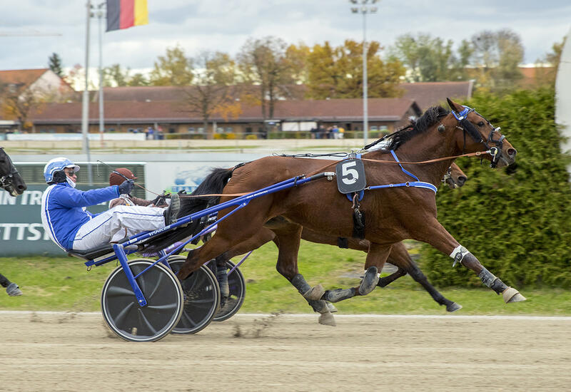 Barolo Rosso_Z261025F