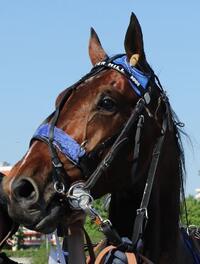 Baxter Hill Baxter Hill