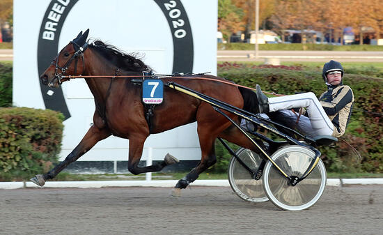 BC Dion Tesselaar und ALL IN LOVE Foto Marius Schwarz BC Dion Tesselaar und ALL IN LOVE Foto Marius Schwarz