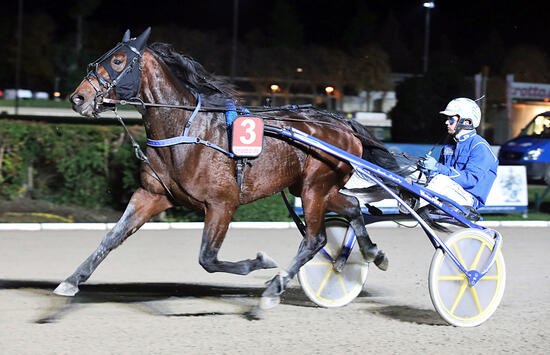 BC Jaap van Rijn und Because you love me Foto Marius Schwarz BC Jaap van Rijn und Because you love me Foto Marius Schwarz