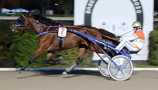 BC Michael Nimczyk und Kyriad Newport Foto Marius Schwarz BC Michael Nimczyk und Kyriad Newport Foto Marius Schwarz