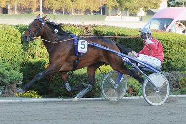 BC2016: Gilda Newport