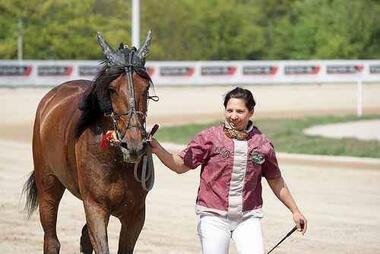 Bentley Sun 1 Bentley Sun 1