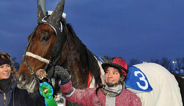 Bentley Sun 2 Bentley Sun 2