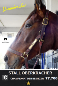 Besitzer Euro Besitzer Euro