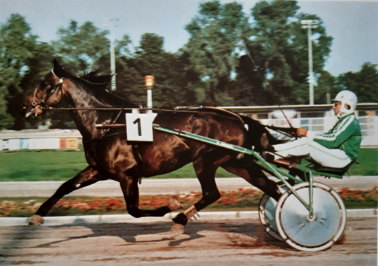 Biendl Heli ZIRRUS 1980 Biendl Heli ZIRRUS 1980