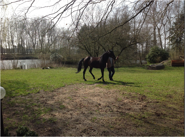 Bild4