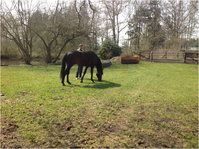 Bild5