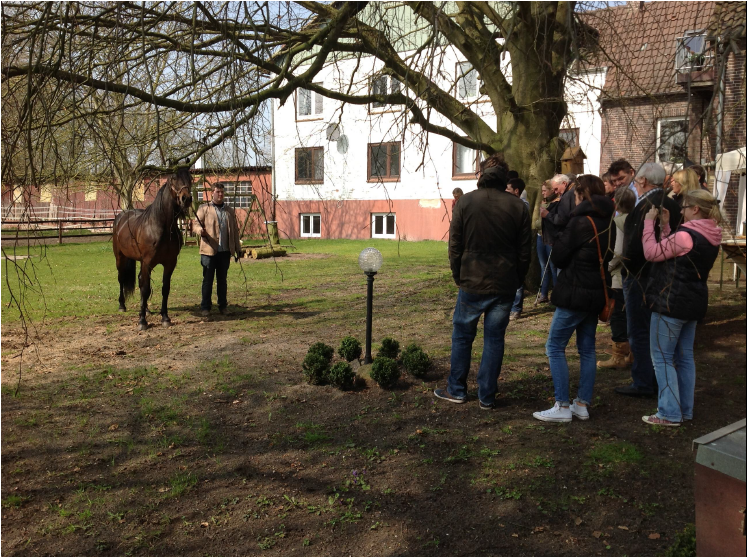 Bild6
