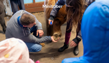 Bilder Minis Bilder Minis