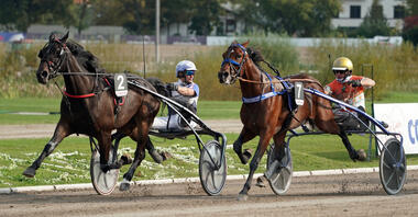 Björn Spangenberg und Pinaki Foto Marius Schwarz Björn Spangenberg und Pinaki Foto Marius Schwarz