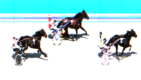 Black-Star_medium