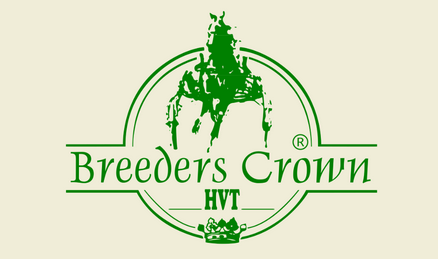 Breeders Crown neu