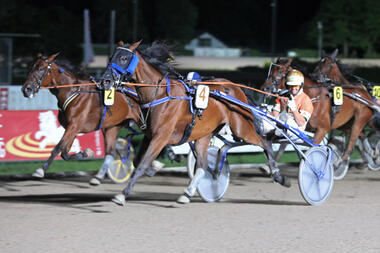 Bright Light BR und Michael Nimczyk