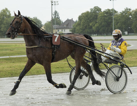 Business Class_P180820Fabris Business Class_P180820Fabris