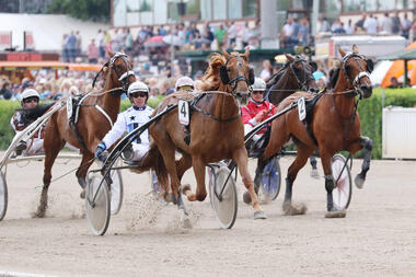 C'est la vie C und Stefan Schoonhoven