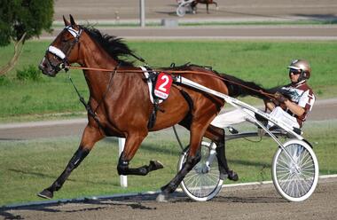 Cash Hanover Derby