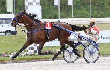 Cash Hanover gewinnt BILD-Pokal 2017