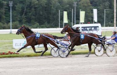 Cash Hanover schlägt Falcon Dragon