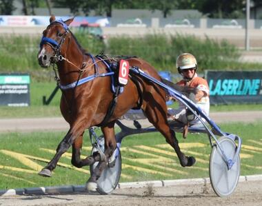 Cash Hanover siegt im Charlie Mills-Memorial