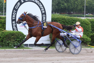 Cash Hanover siegt im Criterium 2017