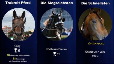 Champions Pferde Ergebnis Champions Pferde Ergebnis